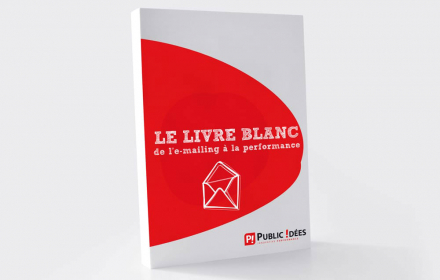 Public Idées Création d'un livre blanc